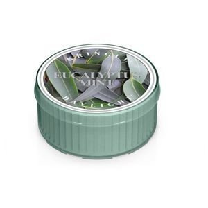 Kringle Candle Świeczka Coloured Daylight Eucalyptus Mint